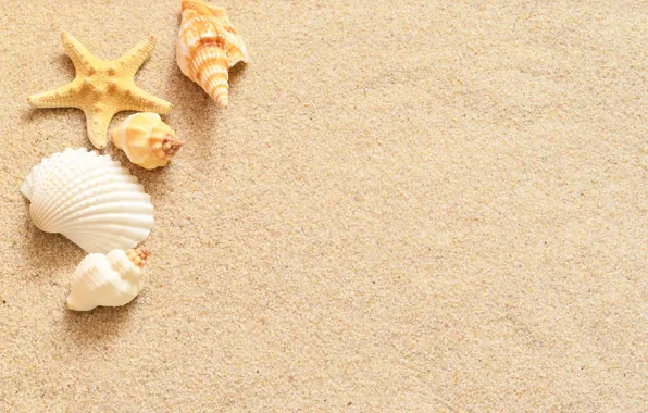Picture sand, star, shell, sand, starfish, seashells