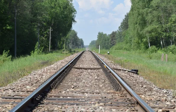 Nature, railway track, rail journey