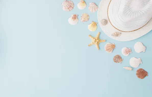 Summer, background, hat, shell, summer, beach, marine, composition