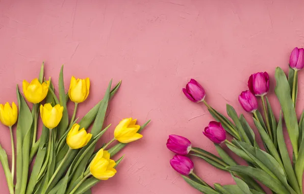 Flowers, tulips, pink, yellow, pink, flowers, tulips