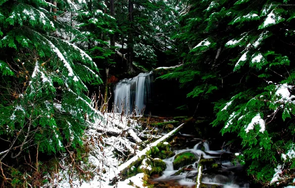 Winter, forest, snow, waterfall, coniferous