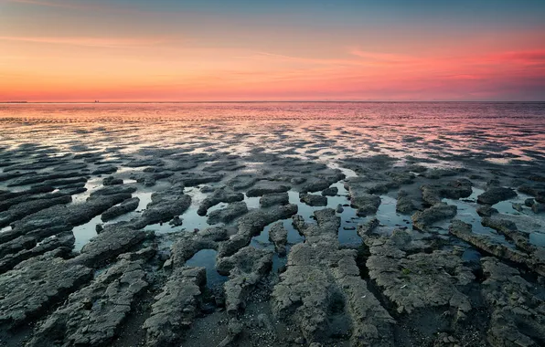 Picture sea, landscape, sunset, nature, shore, the evening, Netherlands, Nederland