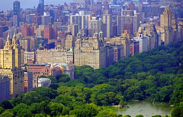 The city, photo, New York, USA, Central Park