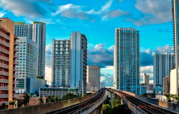 Picture building, Miami, skyscrapers, Florida