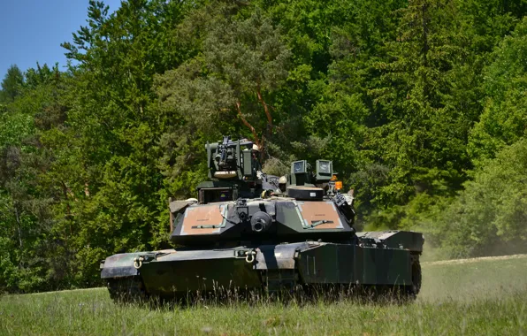 Picture field, forest, tank, armor, Abrams, Abrams, M1A2