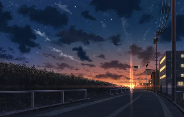 The sky, street, the evening, lantern