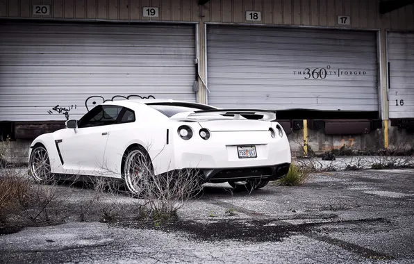 White, thickets, composition, GTR, Nissan, abandoned