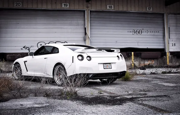 Picture white, thickets, composition, Nissan, gtr, abandoned