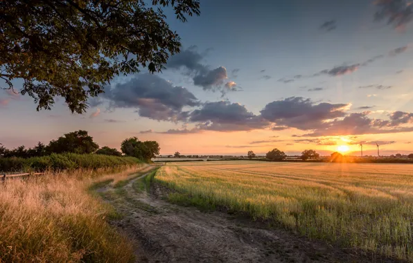 Sunset, Field, Road