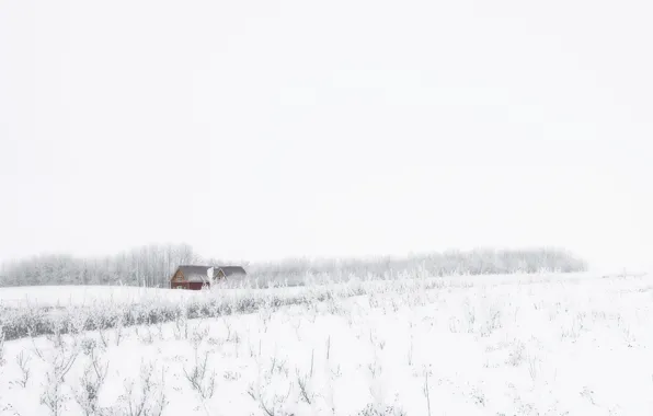 Winter, field, snow, house