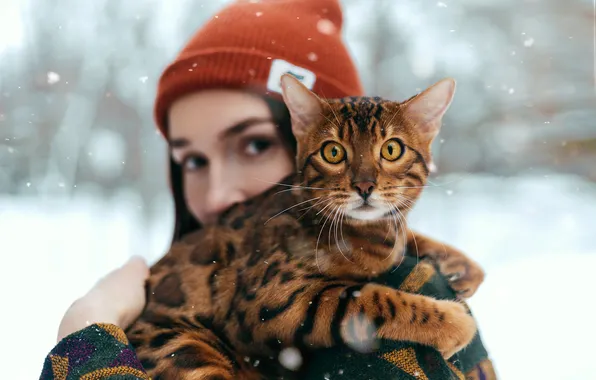Winter, cat, cat, look, snow, hat, face, mistress