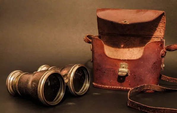 Picture optics, binoculars, case