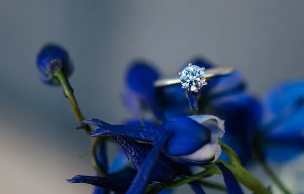 Flowers, stone, petals, ring, blue, wedding