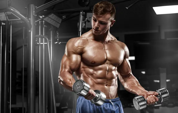 Muscle, muscle, press, pose, dumbbells, bodybuilder, abs, dumbbells