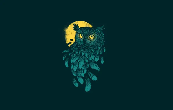 Wallpaper the dark background, owl, bird, minimalism, feathers, moon