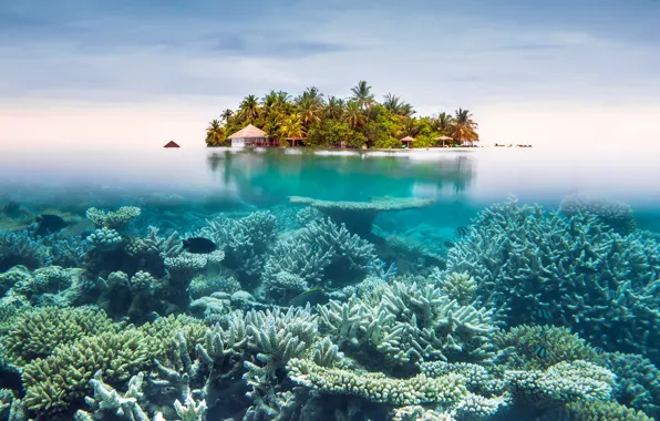 The sky, the ocean, island, resort, under water, split