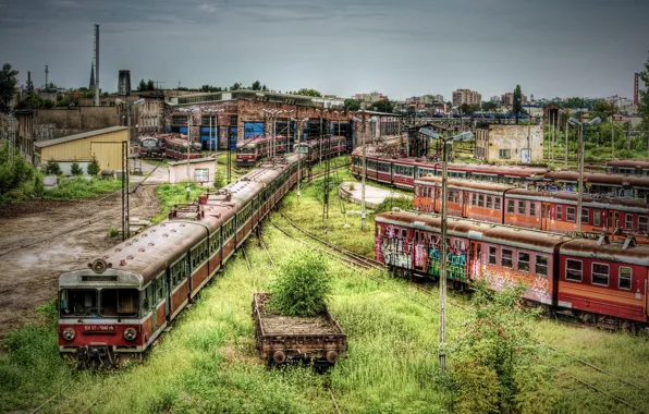 Metro, thickets, train, cars, railroad, buildings, abandonment