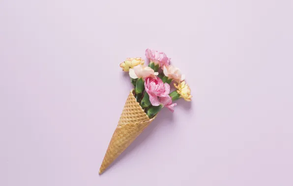 Picture flowers, bouquet, pink background, waffle cone