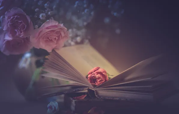 Picture style, roses, petals, book, pink