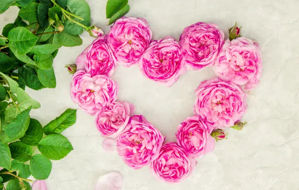Picture love, flowers, heart, roses, petals, love, pink, heart