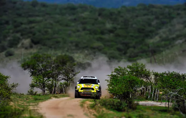Picture Yellow, Sport, Race, Mini Cooper, Rally, Dakar, Dakar, MINI