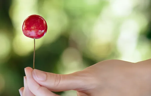 Picture cherry, background, hand