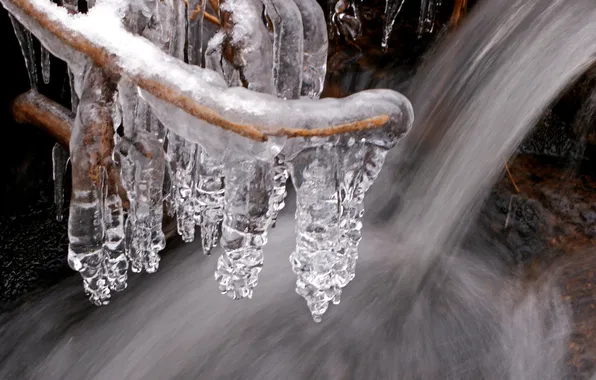 Winter, water, stream, ice, branch, icicles