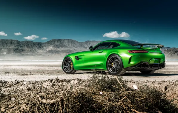 Wallpaper the sky, nature, green, style, rear view, the front, Mercedes GTR