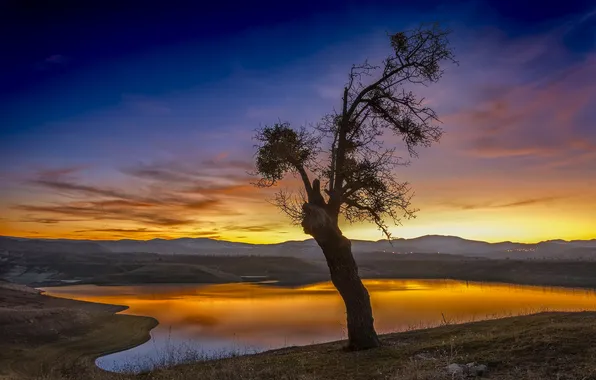 The sky, clouds, light, sunset, mountains, branches, lake, blue