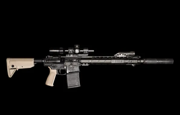 Weapons, muffler, assault rifle