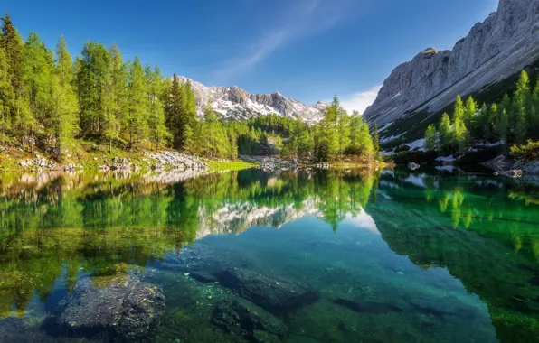 Forest, trees, mountains, lake, reflection, Slovenia, Slovenia, The Julian Alps