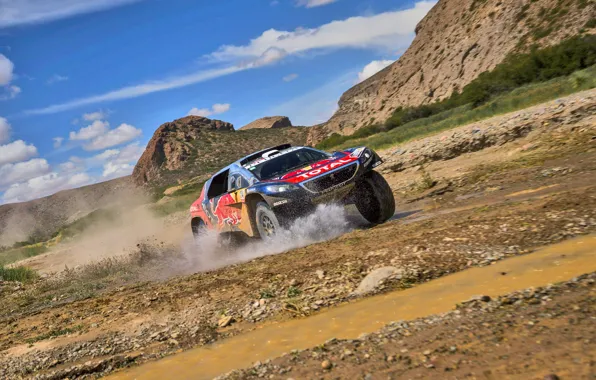 Water, Sand, 2008, Sport, Speed, Race, Peugeot, Squirt