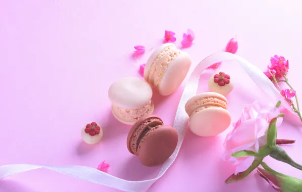 Flowers, the sweetness, roses, tape, cake, cakes, macaroon