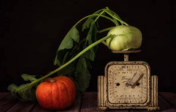 Pumpkin, still life, Libra