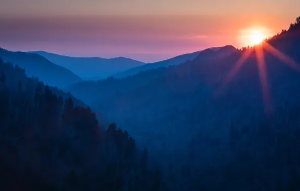 Forest, the sky, the sun, rays, light, sunset, mountains, blue