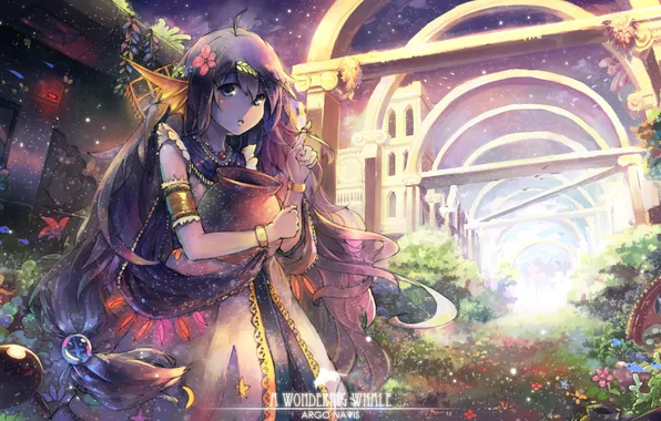 Picture girl, flowers, the city, elf, pitcher, long hair, anime, art