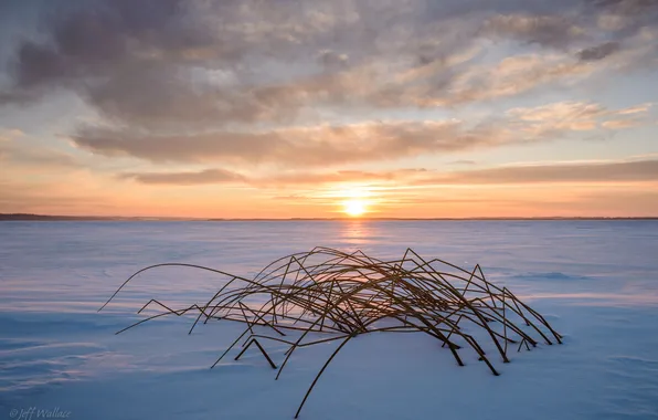 The sun, snow, sunset, Nature, Jeff Wallace