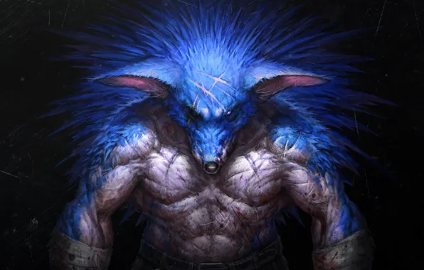 Sonic, Art, Digital Art, Sonic, Fan Art, Sonic The Hedgehog, by Denis Zhbankov, Denis Zhbankov