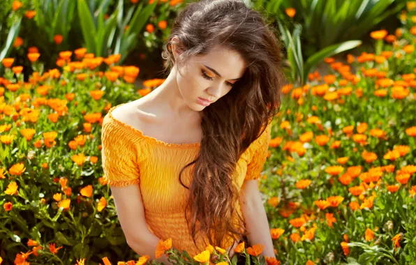 Picture girl, flowers, beauty, long hair