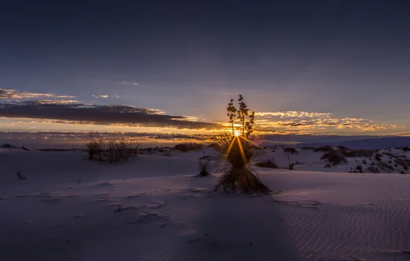 Picture the sky, clouds, sunset, desert, USA, New Mexico, White Sands