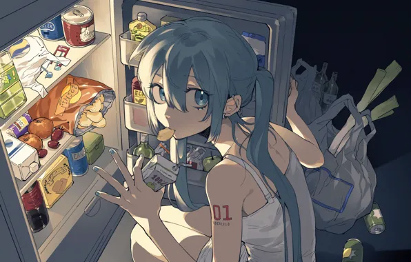 Girl, food, refrigerator, Hatsune Miku, Vocaloid, night snack