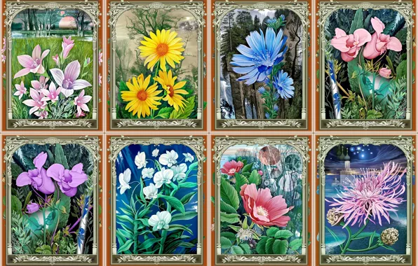 Picture flowers, seasons, painting, orchids, collage of paintings, artist Konstantin Avdeev, spring-summer-autumn-winter, bluebells-daisies-chicory-rosehip-chrysanthemum