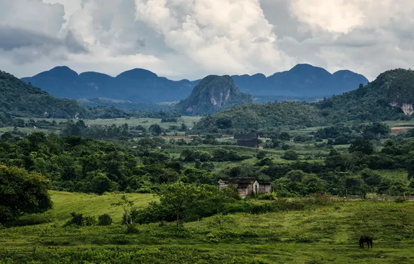 Picture photo, Nature, Mountains, Field, Landscape, Cuba, Vinales