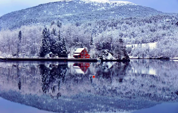 Picture winter, forest, lake, house, blue, shore, mountain, float
