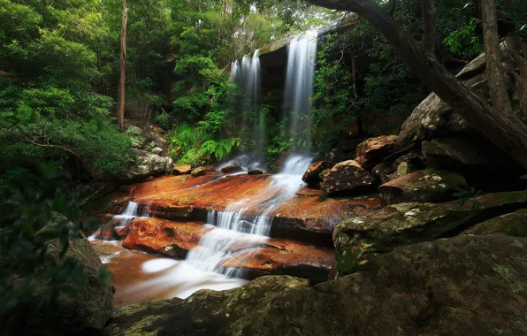 Picture forest, stones, rocks, vegetation, waterfall