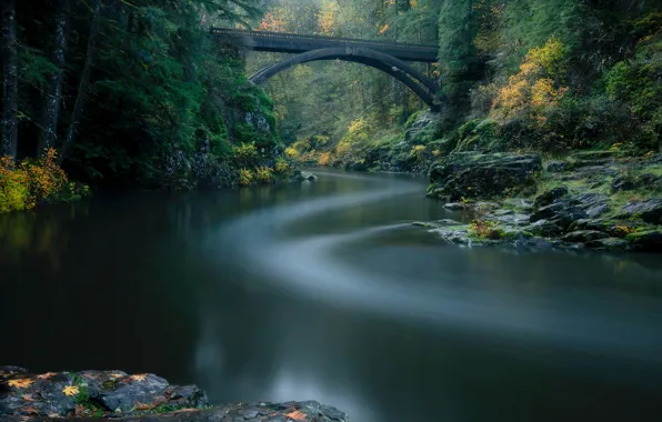 Picture autumn, forest, bridge, river, Lewis River, Washington State, Yacolt, Moulton Falls Regional Park