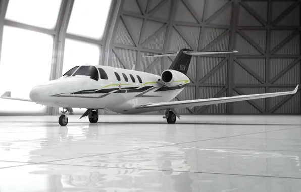 Hangar, The plane, Business Aviation