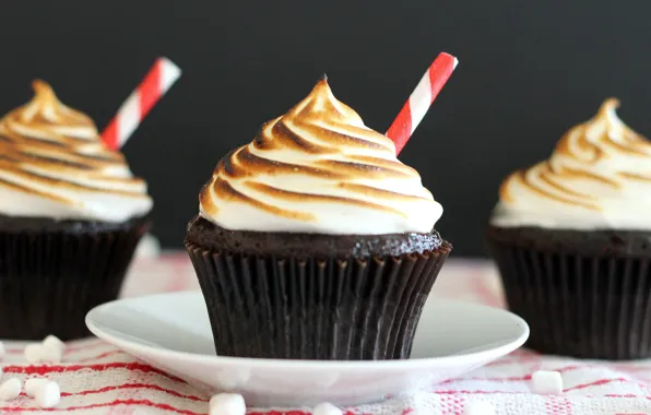 Chocolate, cream, cakes, sweet, cupcakes