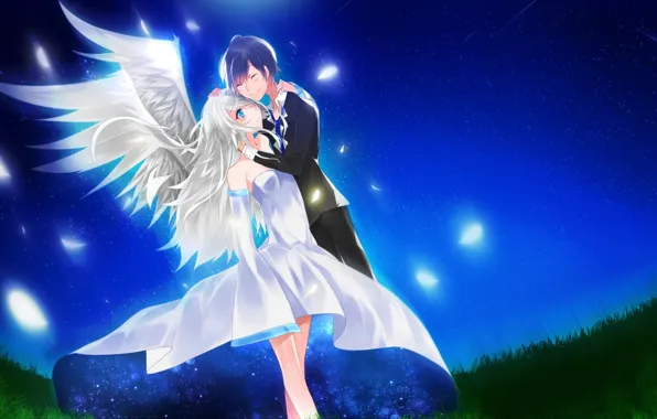 Picture the sky, girl, stars, night, wings, anime, feathers, art