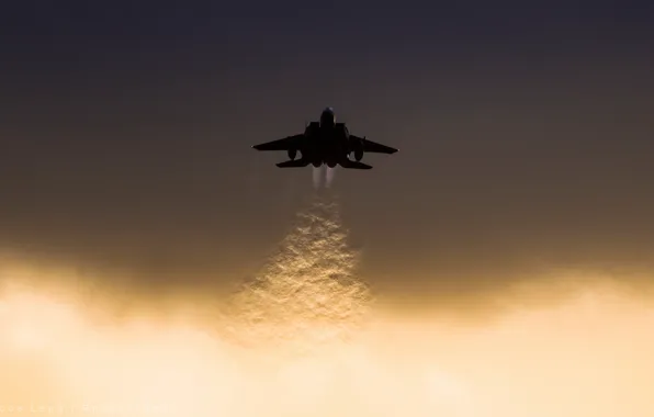 Weapons, the plane, f15e